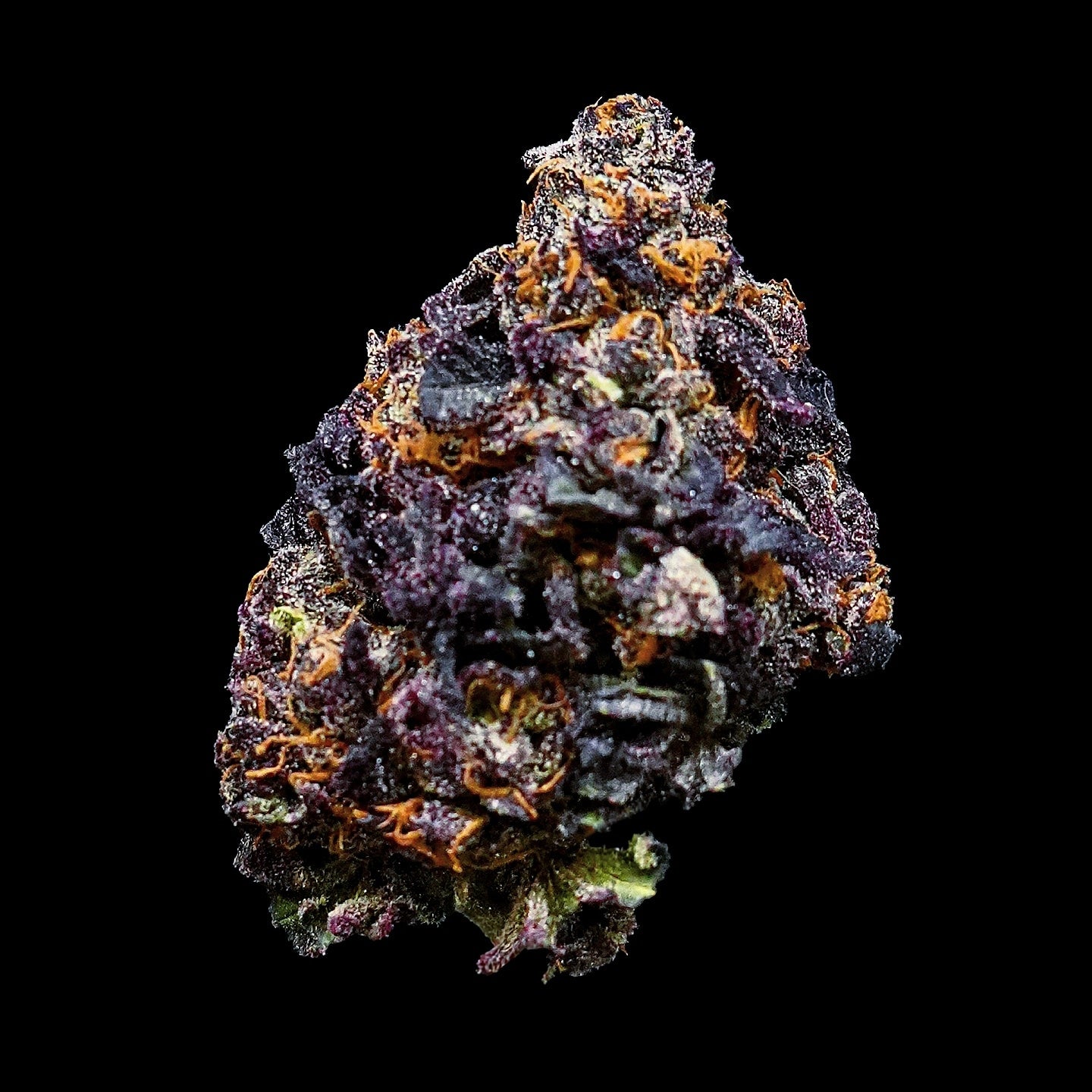 Tiki Madman - Feminisierte Samen (6er Pack)
