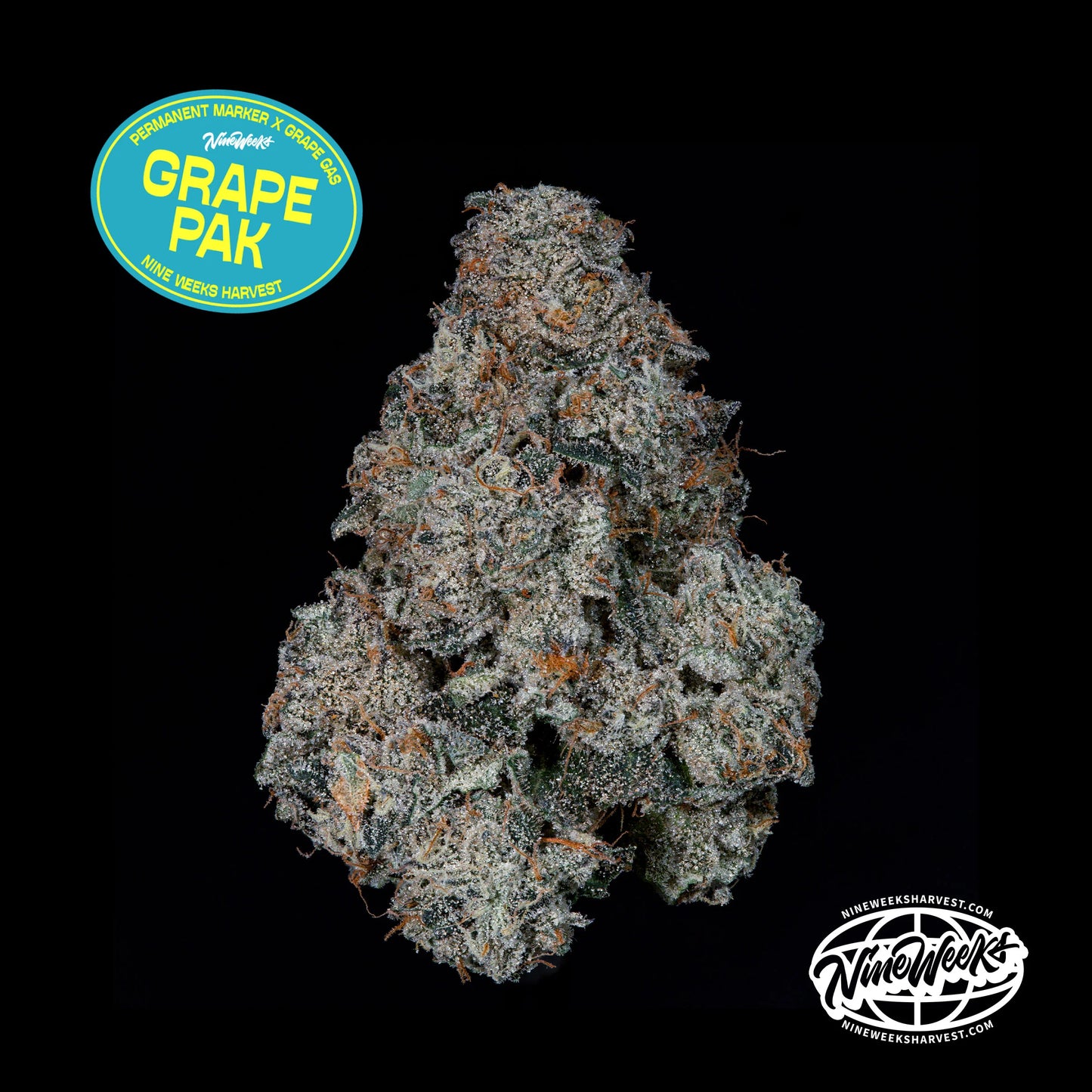 Nine Weeks Harvest - GRAPE PAK (3er Pack)