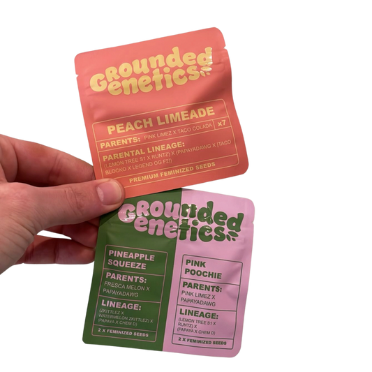 Grounded Genetics - PEACH LIMEADE (+ Freebies)