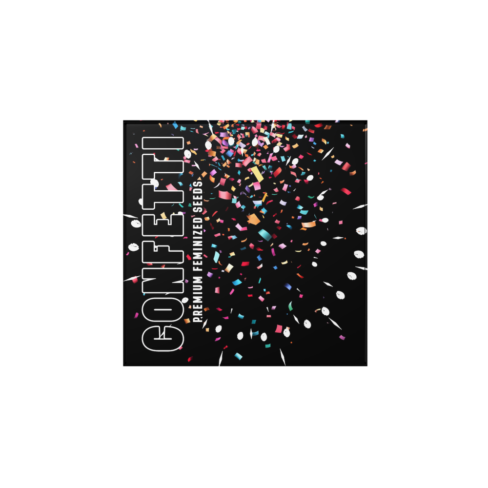 Doja Exclusive - CONFETTI Fem.