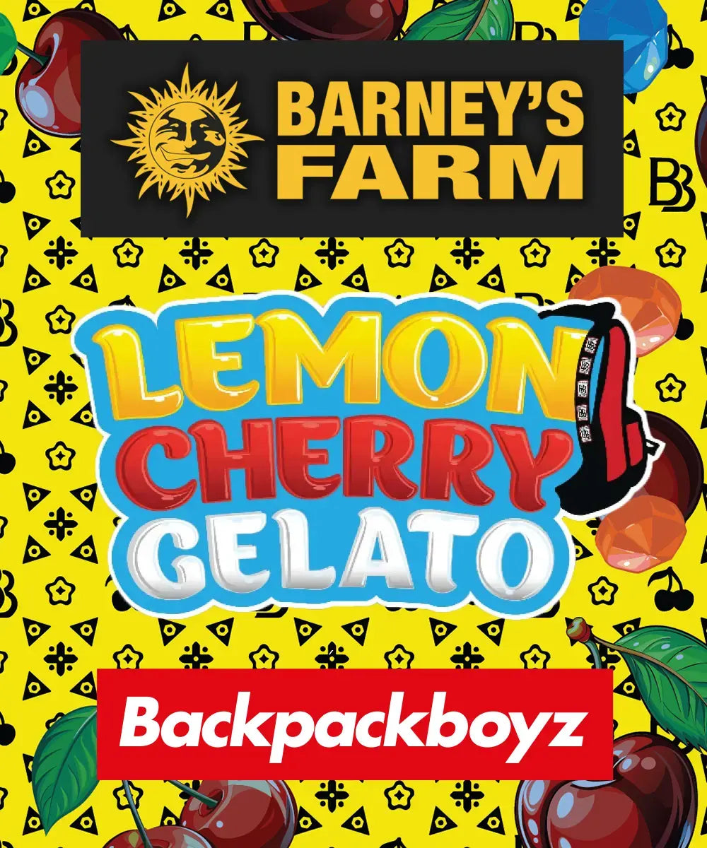 Barneys Farm x Backpackboyz - Lemon Cherry Gelato