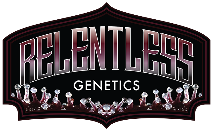 Relentless Genetics - Trop Cherry S1 (Feminisiert) 9er Pack