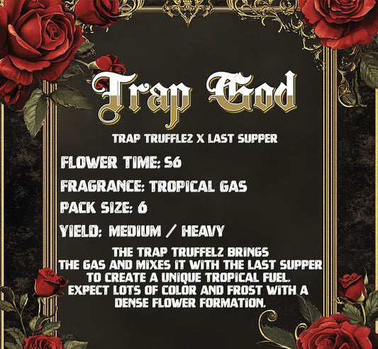 Solfire Gardens - Trap God (Feminisiert) 6er Pack