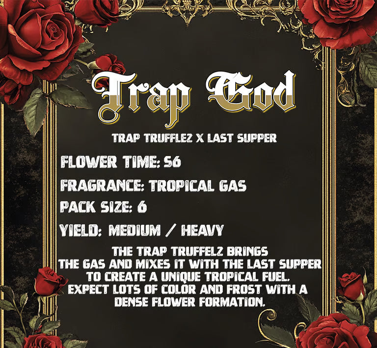 Solfire Gardens - Trap God (Feminisiert) 6er Pack