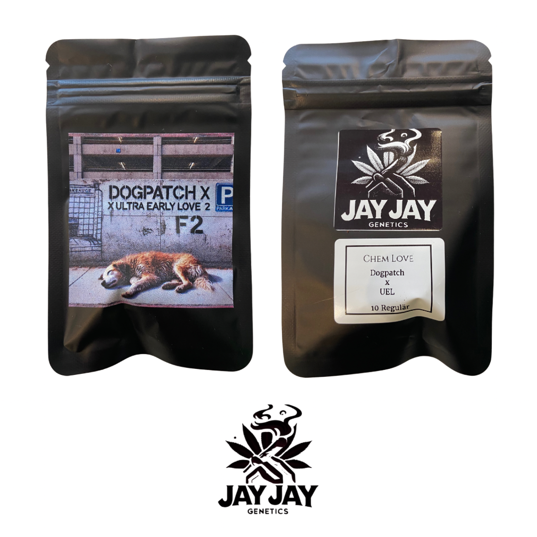 JAY JAY Genetics - 10er Pack - Regulär