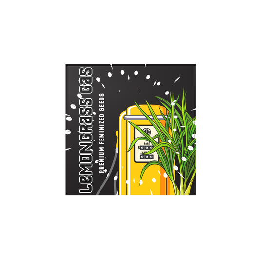 Doja Exclusive - LEMONGRASS GAS - Fem.