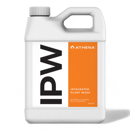 Athena IPW - (946ml)