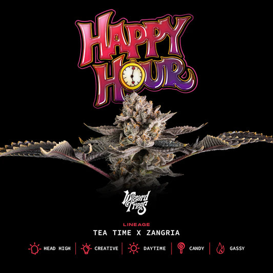 Wizard Trees - HAPPY HOUR - Fem. 3er Pack