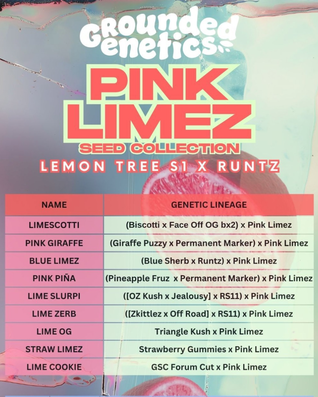 Grounded Genetics - Pink Limez Collection