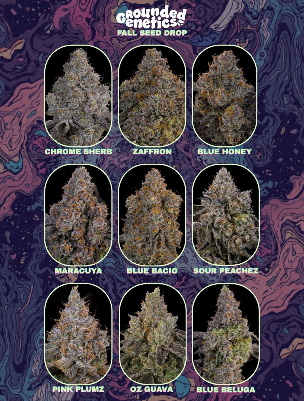 Grounded Genetics - Fall Seed Drop 2026