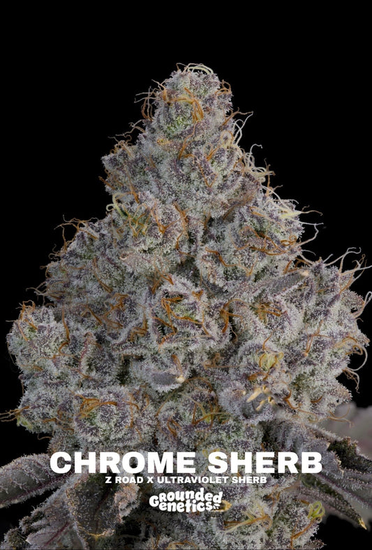 Grounded Genetics - Fall Seed Drop 2026
