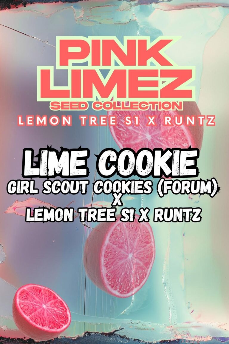 Grounded Genetics - Pink Limez Collection