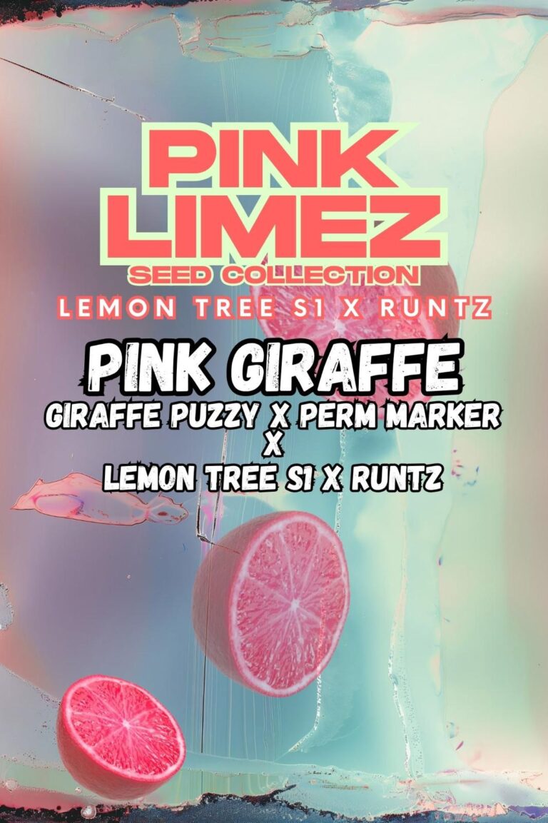 Grounded Genetics - Pink Limez Collection