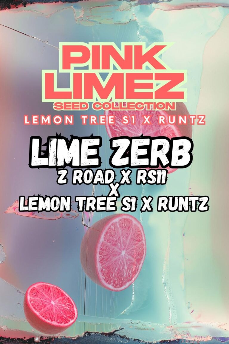 Grounded Genetics - Pink Limez Collection