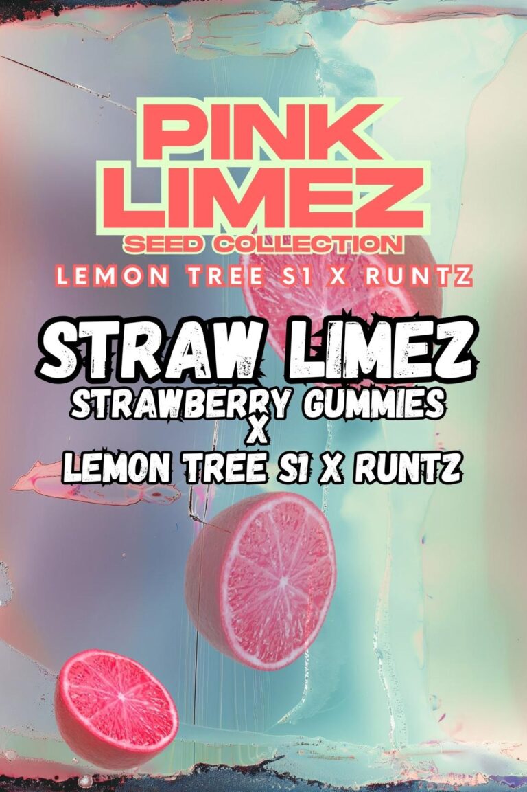 Grounded Genetics - Pink Limez Collection