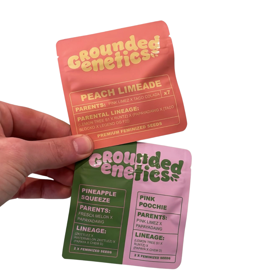 Grounded Genetics - PEACH LIMEADE (+ Freebies)