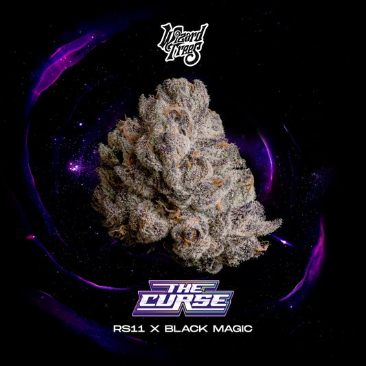 Wizard Trees - THE CURSE (3er Pack)
