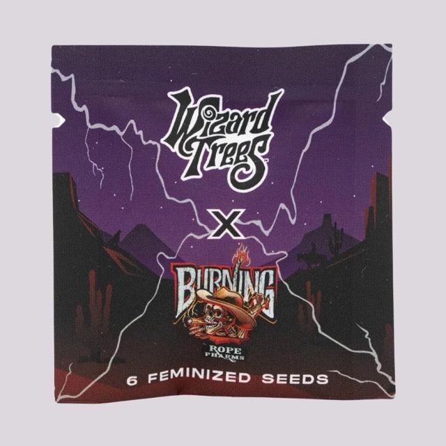 Wizard Trees - BOWSHOOTER - Fem. 6er Pack