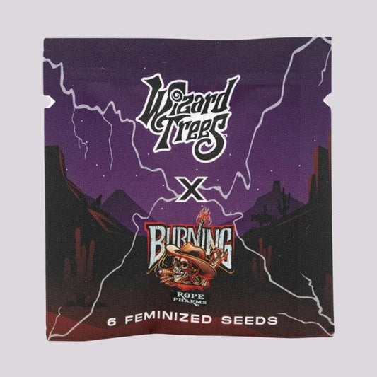 Wizard Trees - BOWSHOOTER - Fem. 6er Pack