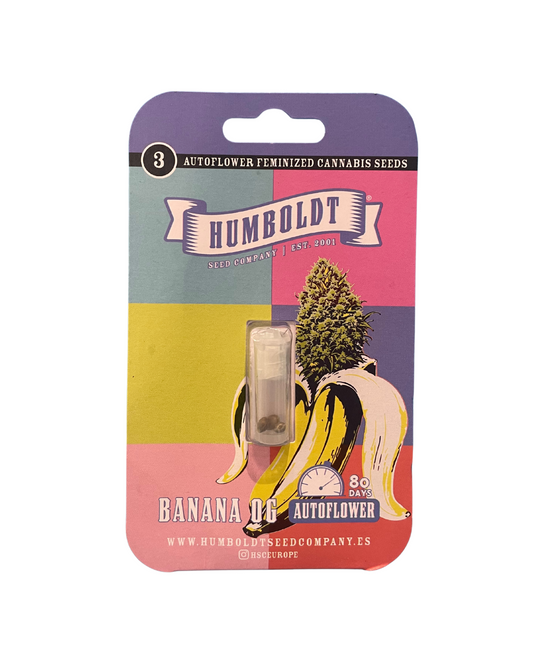 Humboldt Seed Company - Banana OG AUTO