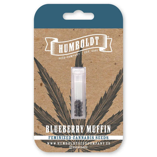 Humboldt Seed Company - Blueberry Muffin 3er Pack