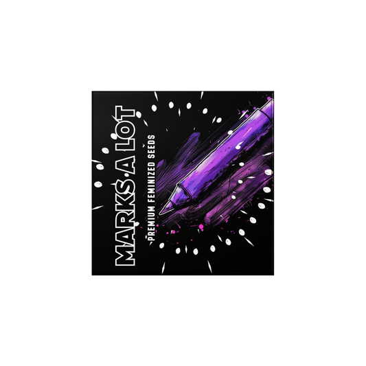 Doja Exclusive - MARKS A LOT Fem.