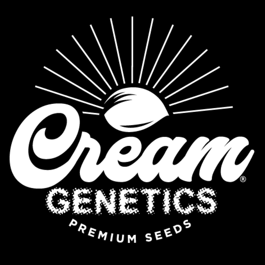 Cream Genetics Seeds (Auto)