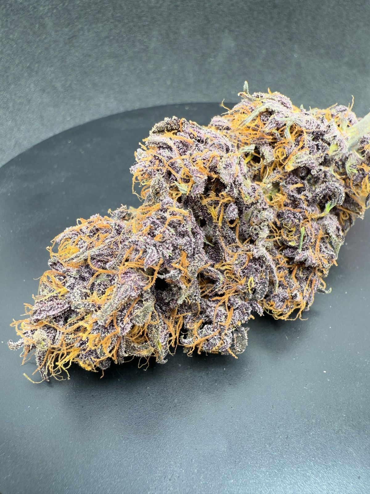 FAST BUDS - PURPLE HAZE AUTO - 5 SEEDS