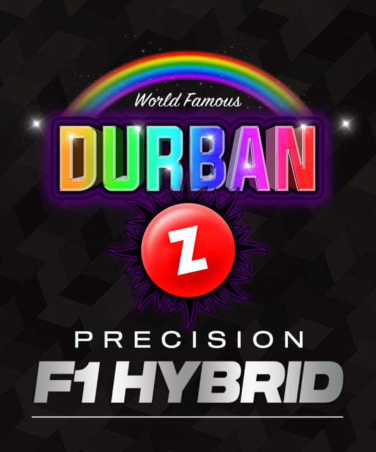 Barney's Farm - Durban Z - Precision F1 Hybrid (3er Pack)