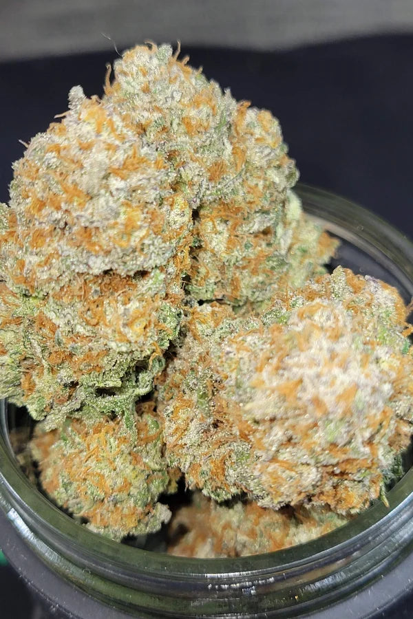 FAST BUDS - APPLE STRUDEL AUTO