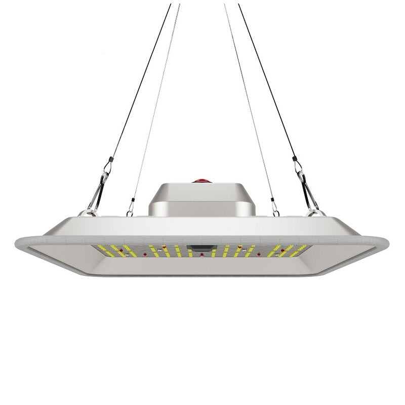 Greenception - GC-Pure 80W