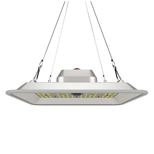 Greenception - GC-Pure 80W