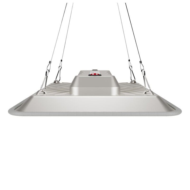 Greenception - GC-Pure 80W