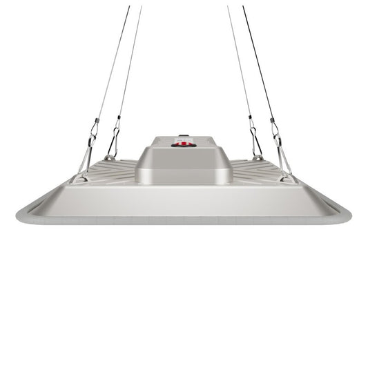 Greenception - GC-Pure 80W