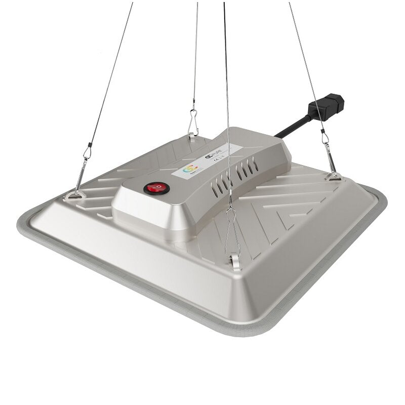 Greenception - GC-Pure 80W