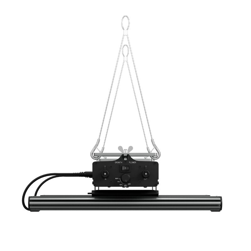 Greenception - GCx-4 PWR 160W