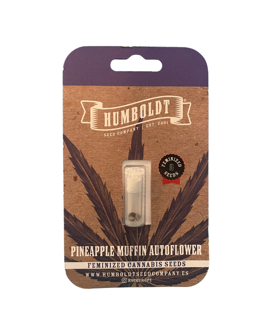 Humboldt Seed Company - Pineapple Muffin Auto