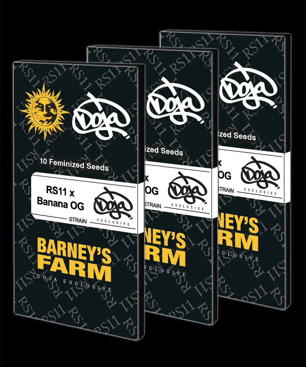 RS11 x Banana OG by Barneys Farm x DOJA Exclusive