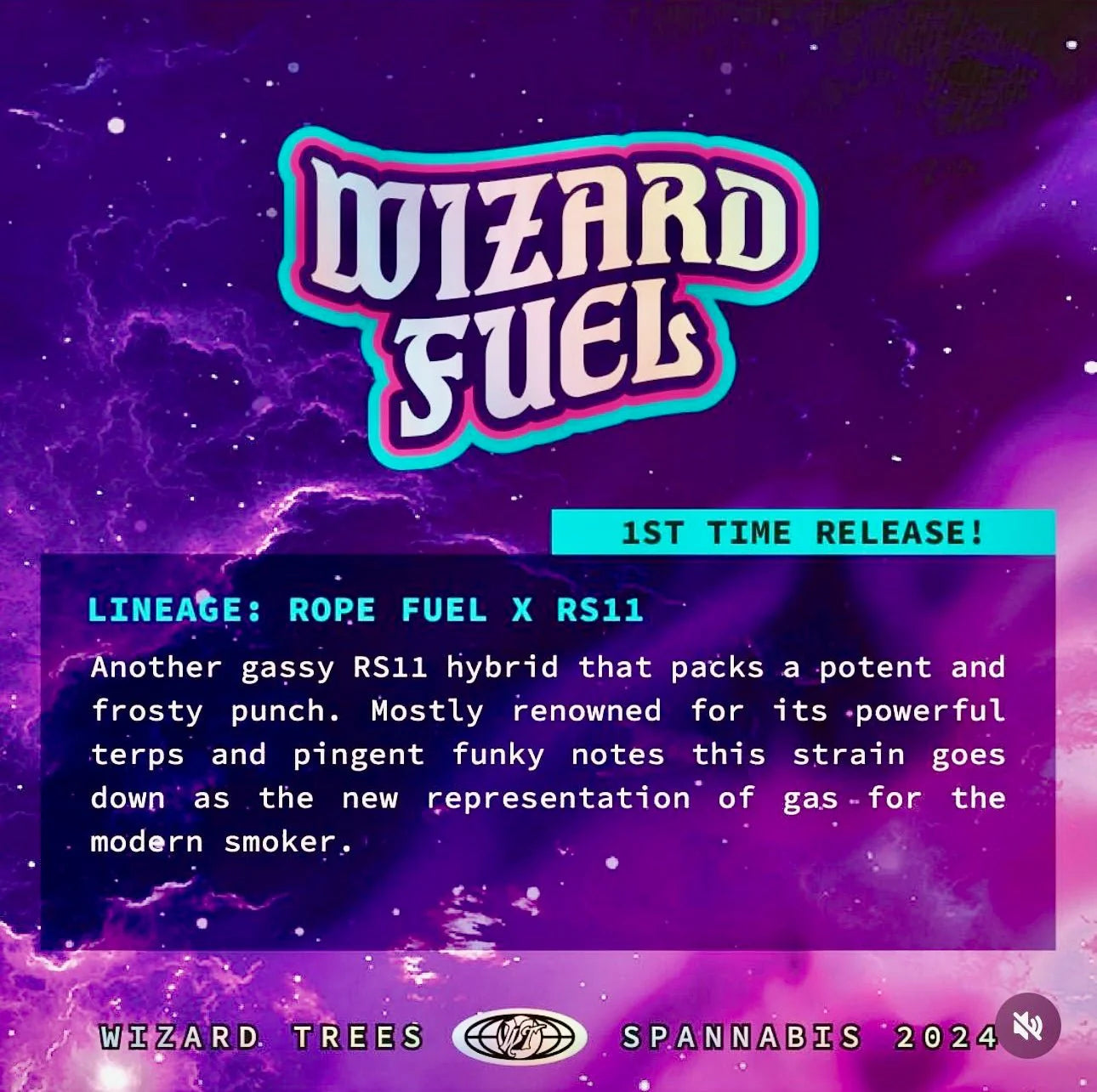 Wizard Trees - Wizard Fuel (3er Pack)