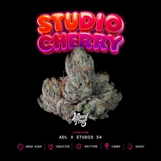 Wizard Trees - Studio Cherry - 3er Pack