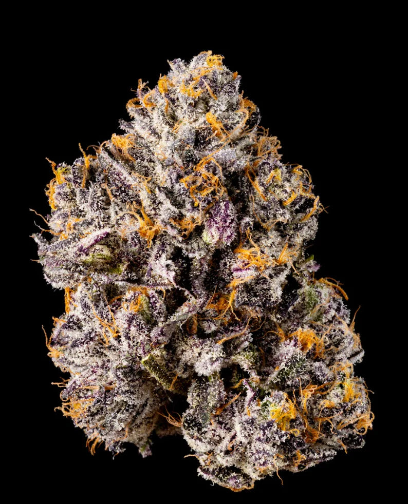 Wizard Trees Seeds - Feminisiert