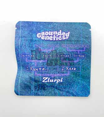 Grounded Genetics - Zlurpi  ( Feminisiert )